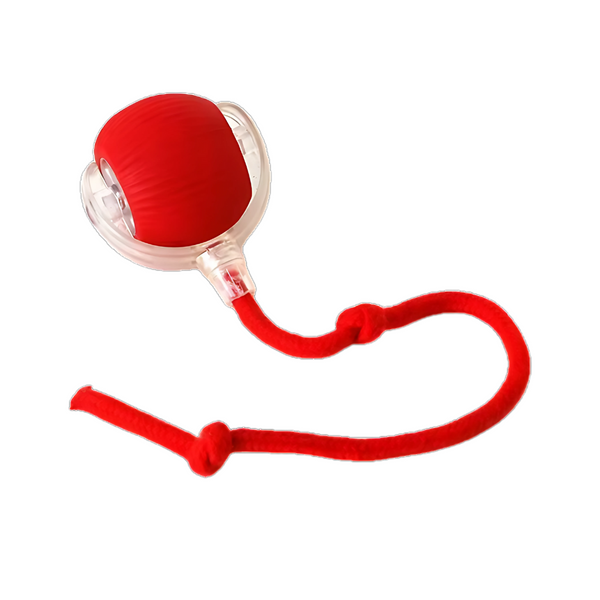 Balle Interactive